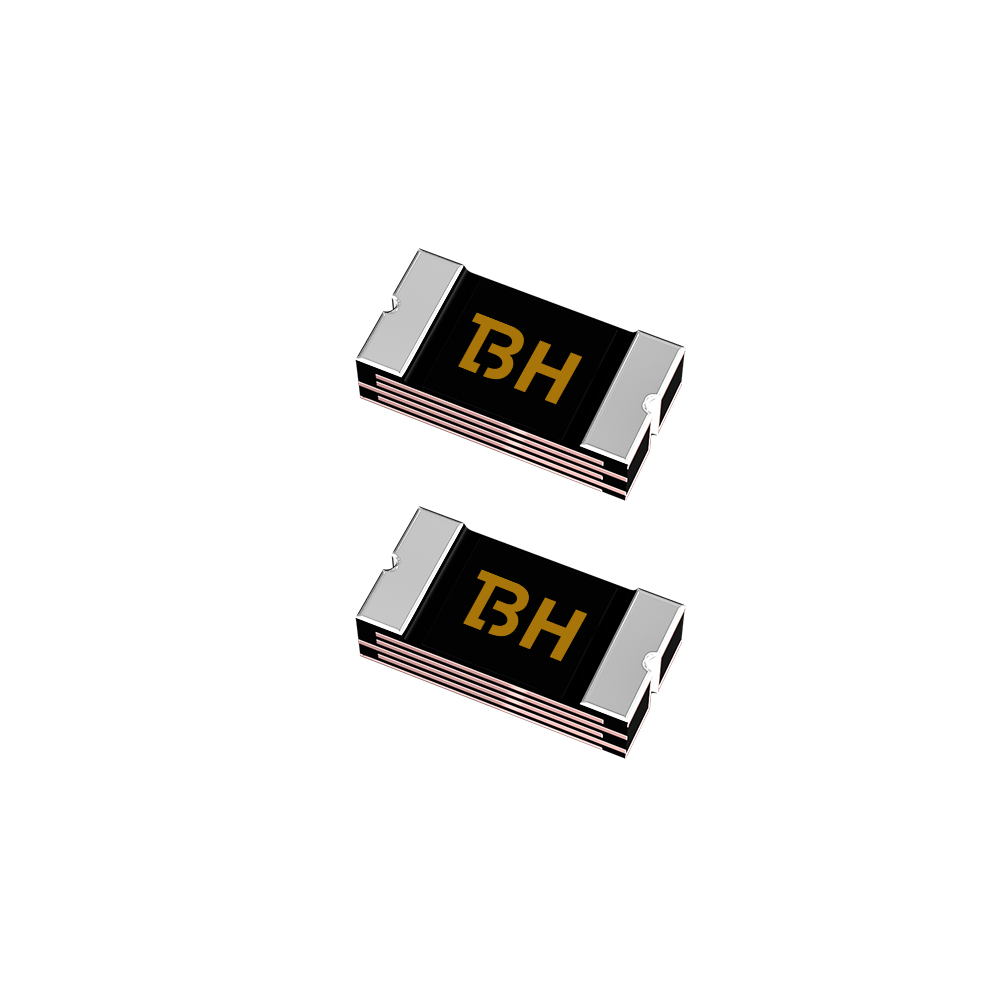 1206L100/30NR 1206L100/30NR