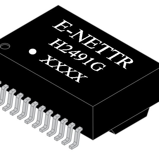 H2491G H2491G