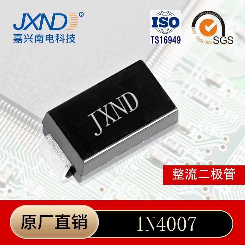 1N4007 1N4007