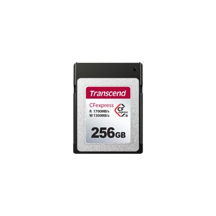 TS256GCFE820 TS256GCFE820