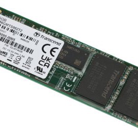 TS256GMTS952T2 TS256GMTS952T2