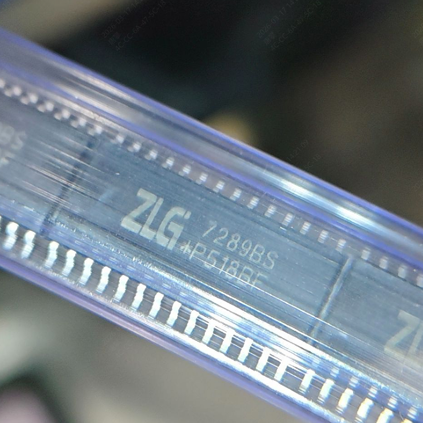 ZLG7289BS