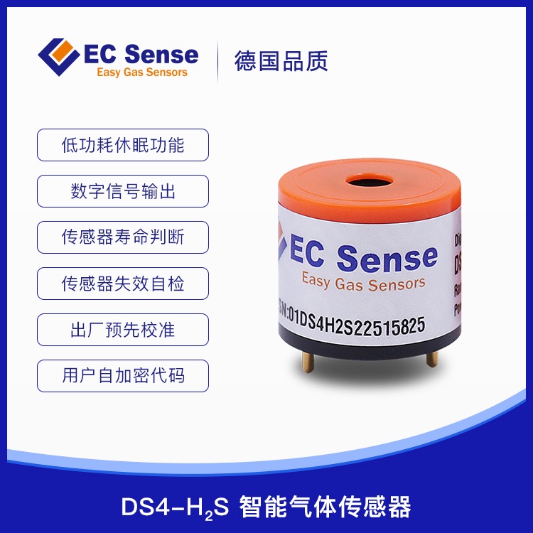 04-DS4-H2S-100-01