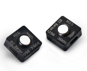 01-ES1-H2S-500-01 01-ES1-H2S-500-01