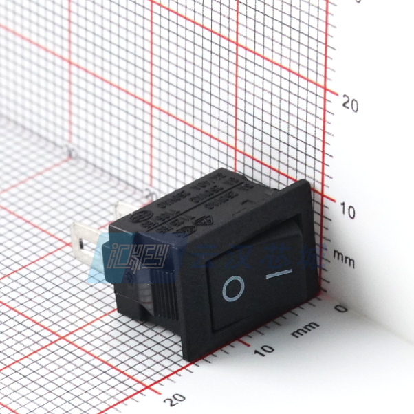 RS601HL-1010011BB RS601HL-1010011BB