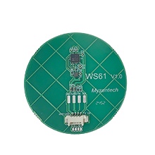 WS61