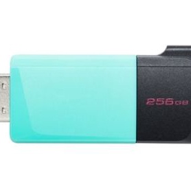 DTXM/256GB DTXM/256GB
