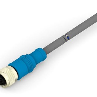 T4161320005-003