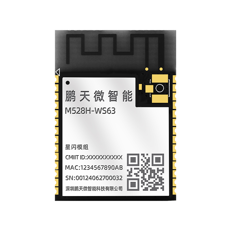 M528H-WS63