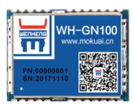 WH-GN100 WH-GN100