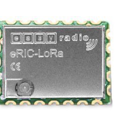 ERIC-LORA ERIC-LORA