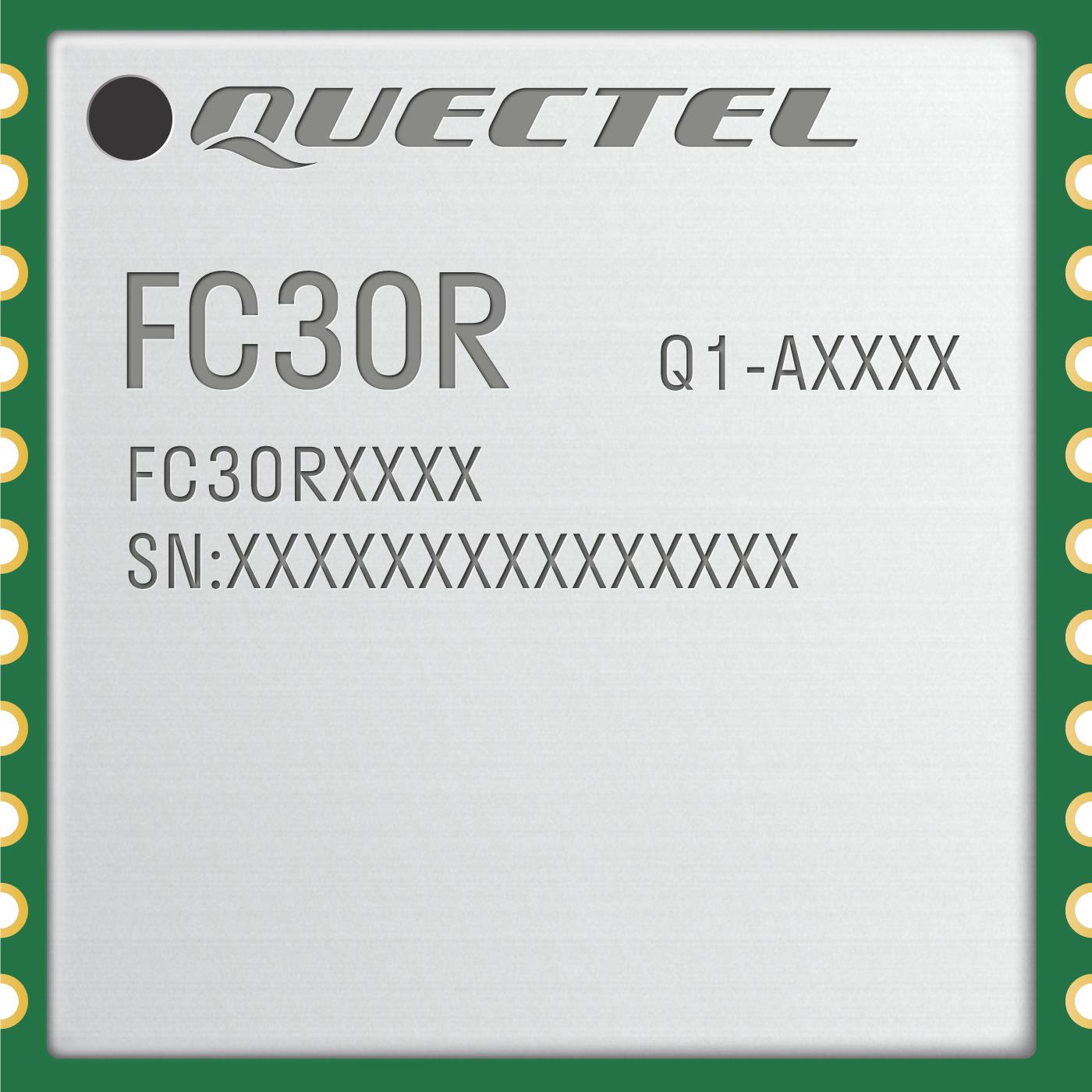FC30RAMD FC30RAMD