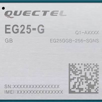 EG25GGB-256-SGNS EG25GGB-256-SGNS